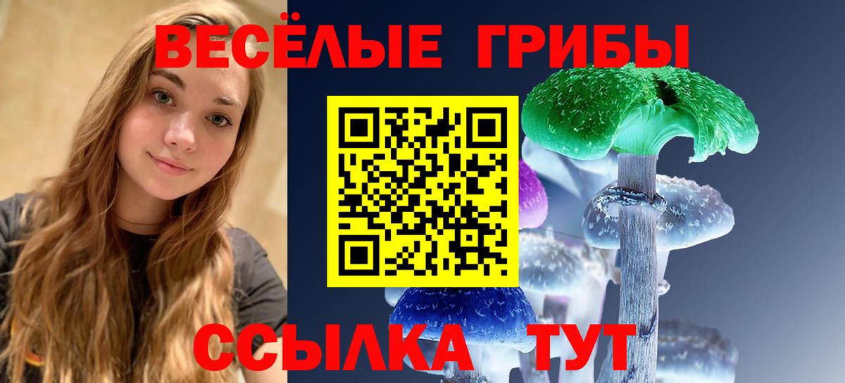 Галлюциногенные грибы мухоморы Верхний Уфалей
